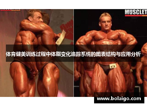 体育健美训练过程中体脂变化追踪系统的图表结构与应用分析